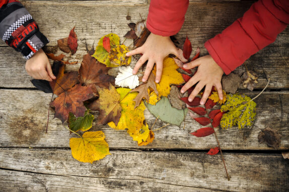 Programme des mercredis de novembre 2025